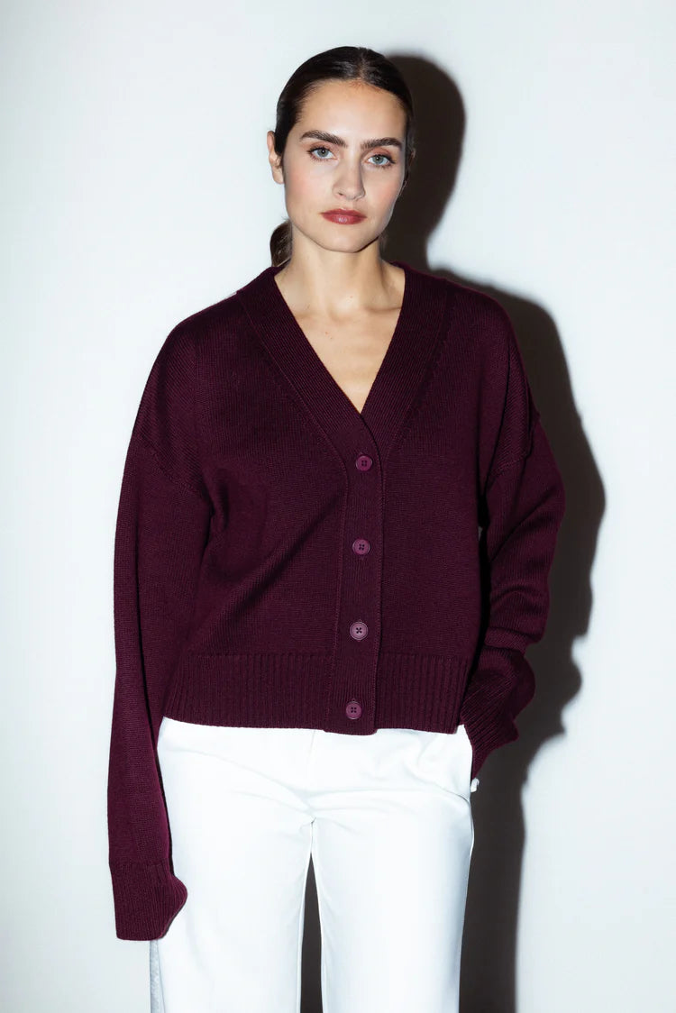 Drake Cardigan